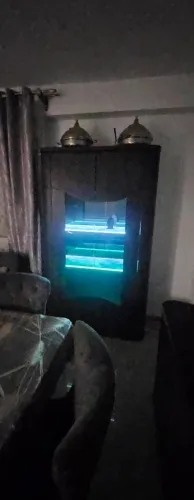 Location Appartement F3 Blida Blida