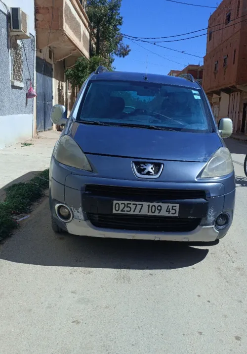 Peugeot Partner 2009 Tepee