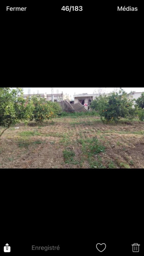 Vente Terrain Tizi Ouzou Sidi naamane