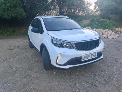 Livan X3 Pro  2025 Automatique (Avec toi ouvrant )