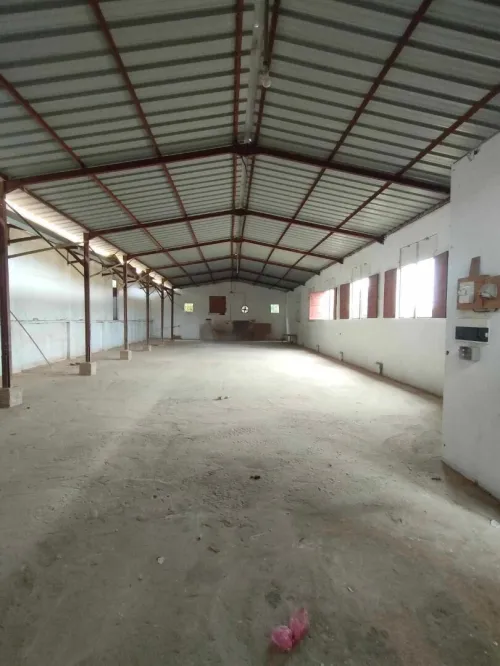 Location Hangar - Usine Tipaza Kolea