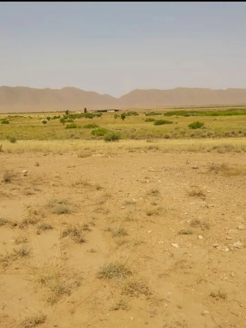 Vente Terrain Agricole Naâma Mecheria