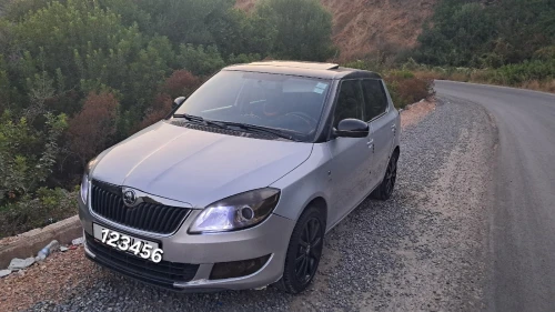 Skoda Fabia 2014 Visage