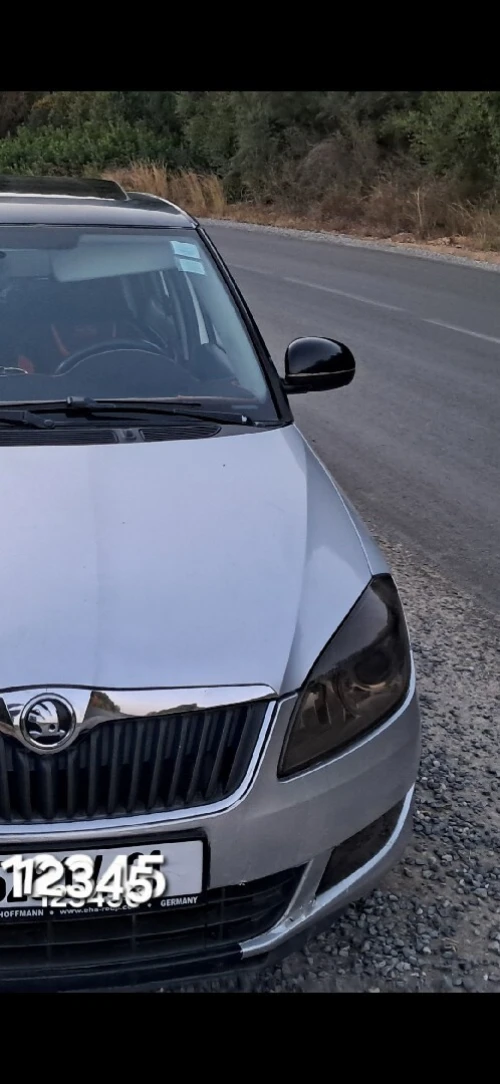 Skoda Fabia 2014 Visage