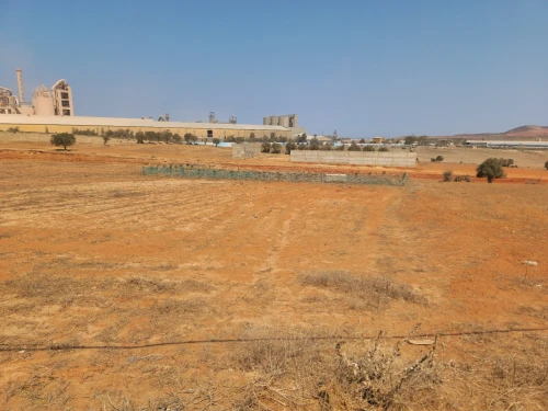 Vente Terrain Agricole Aïn Témouchent Beni saf