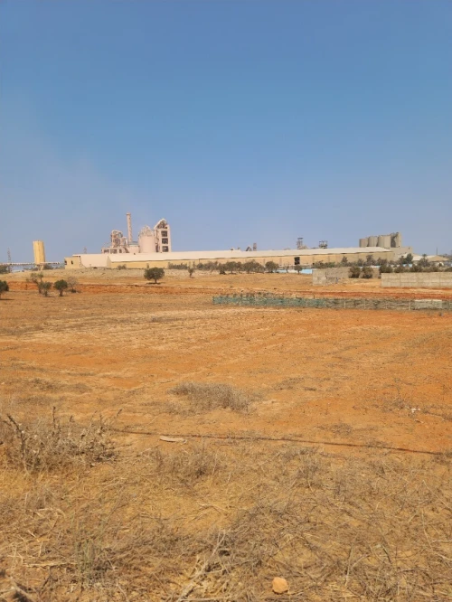 Vente Terrain Agricole Aïn Témouchent Beni saf