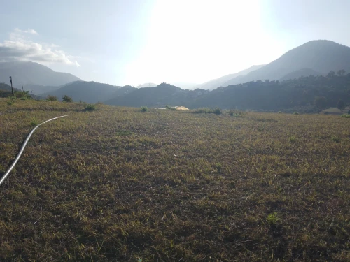 Vente Terrain Béjaïa Aokas