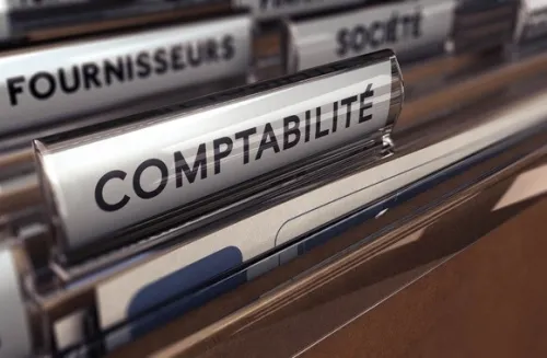 Comptable Professionnel