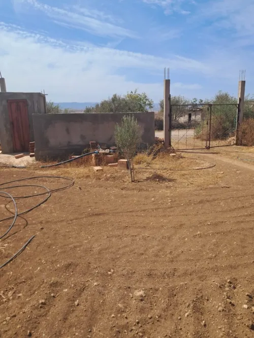 Vente Terrain Agricole Tlemcen Bensekrane