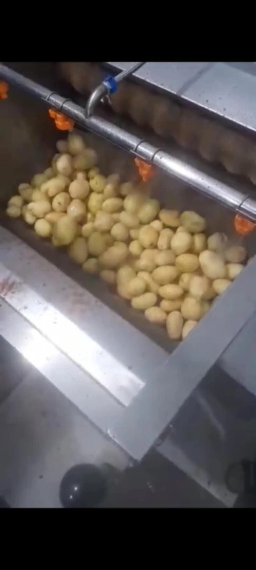 machine frite industrielle  , materiels éplucheuse de frite