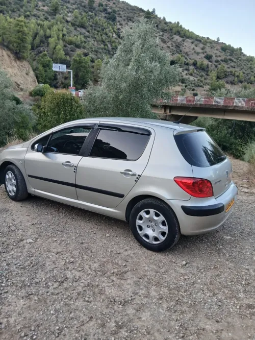 Peugeot 307 2007 Oxygo
