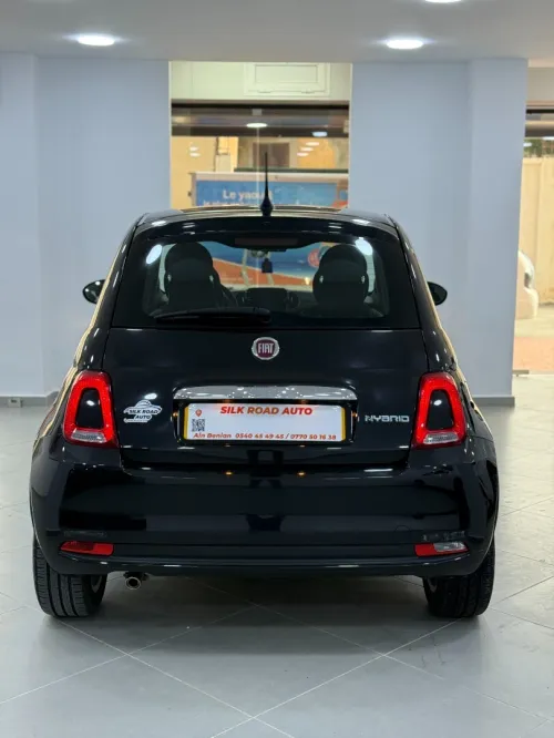 Fiat 500 2024 cult