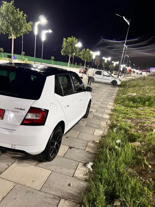 Skoda Fabia 2017 Monte Carlo
