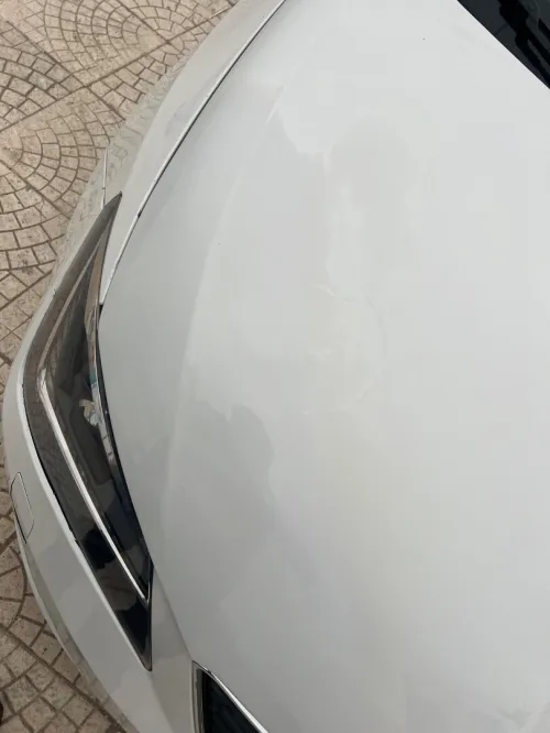 Seat Ibiza 2015 Black Line