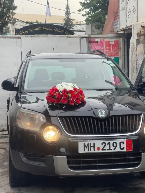 Skoda Yeti 2011 Yeti