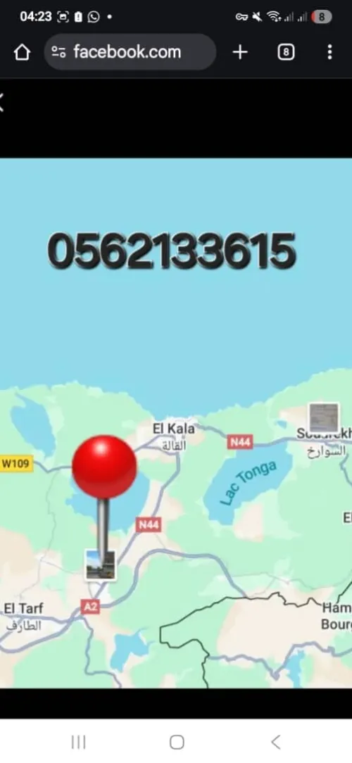Vente Villa El Tarf Ain el assel