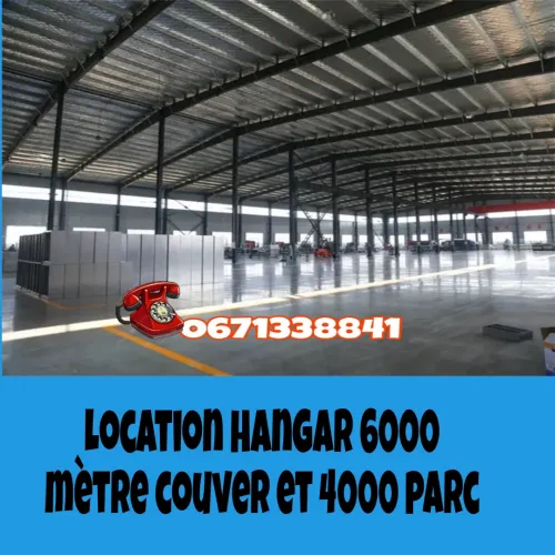 Location Hangar Alger Les eucalyptus