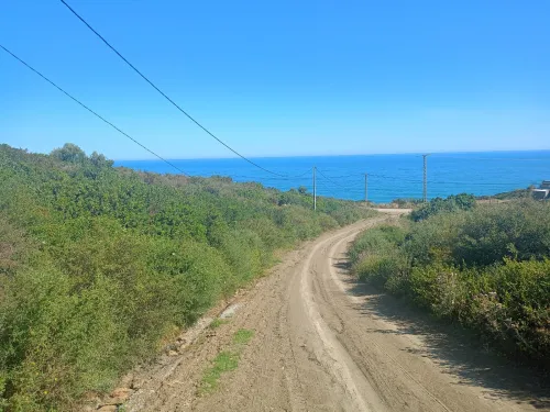 Vente Terrain Tizi Ouzou Iflissen