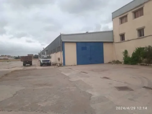 Location Hangar - Usine Alger Birtouta