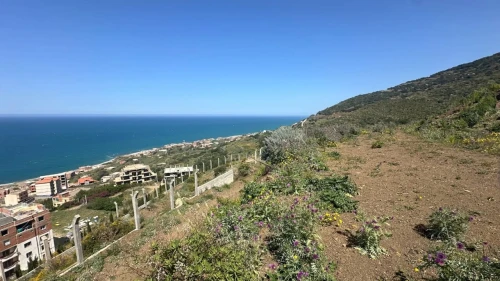 Vente Terrain Boumerdès Djinet