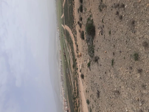 Vente Terrain Batna Batna