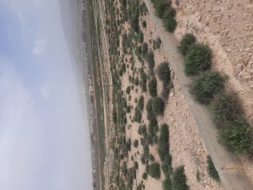 Vente Terrain Batna Batna