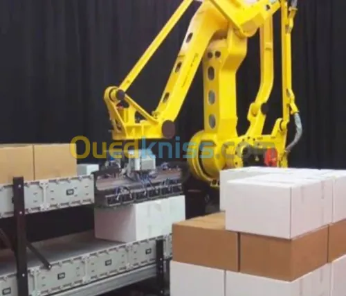 Intégration robotique & automatisme