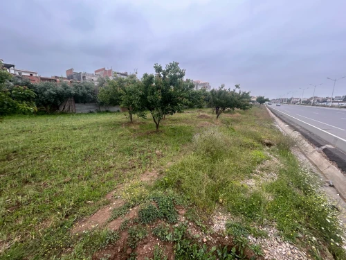 Vente Terrain Blida Soumaa