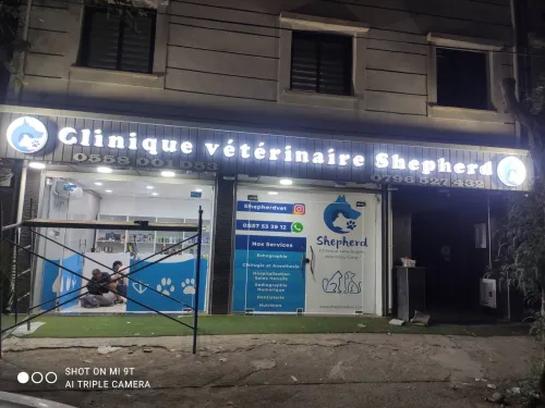 Enseigne lumineuse publicitaire