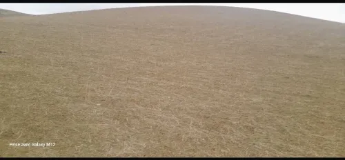 Vente Terrain Agricole Tissemsilt Sidi abed