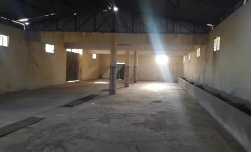 Vente Hangar - Usine Médéa Ksar boukhari