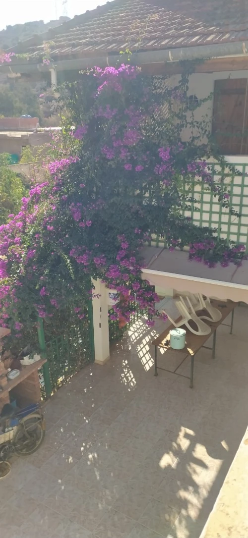Vente Villa Tlemcen Ghazaouet