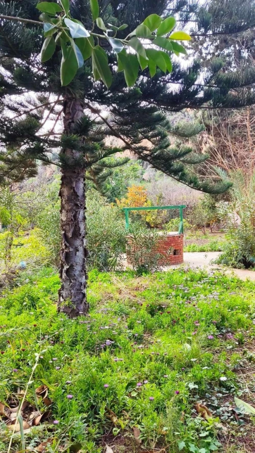 Vente Villa Tlemcen Ghazaouet
