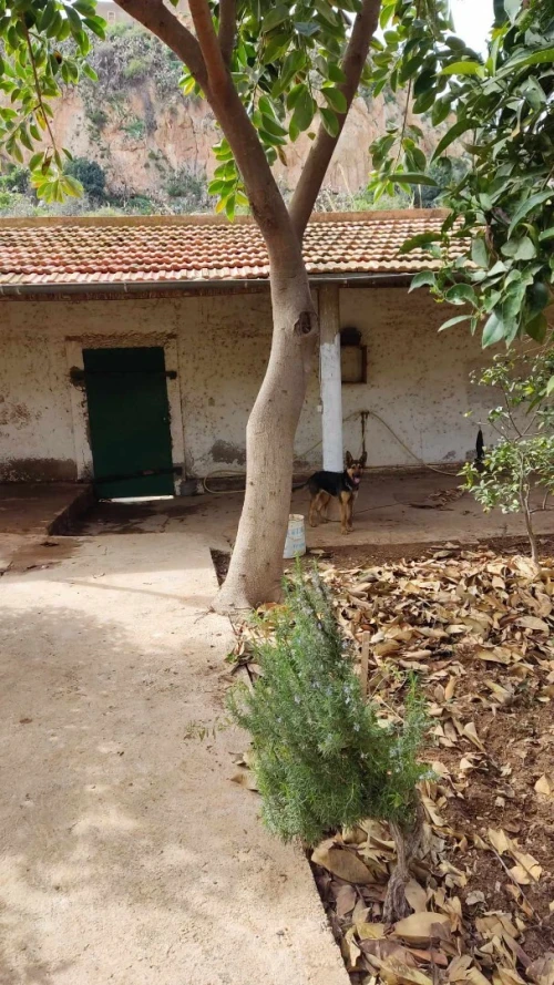 Vente Villa Tlemcen Ghazaouet