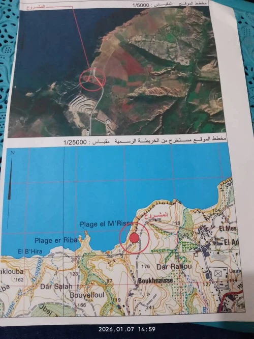 Vente Terrain Tlemcen Souahlia