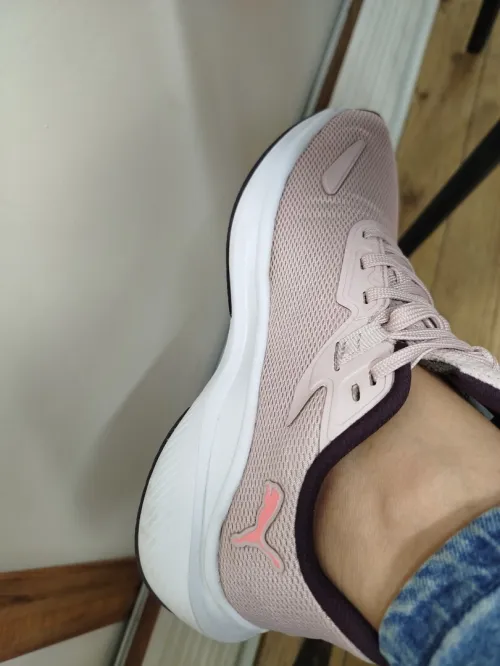 Basquette PUMA originale