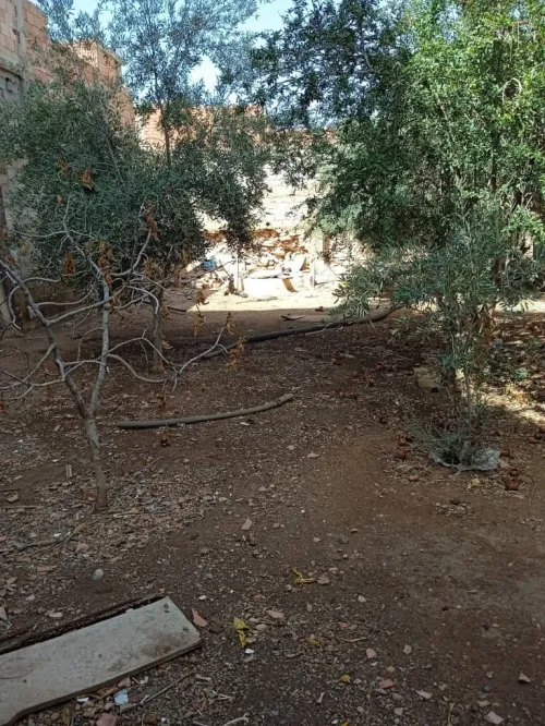 Vente Villa Oran Oued tlelat