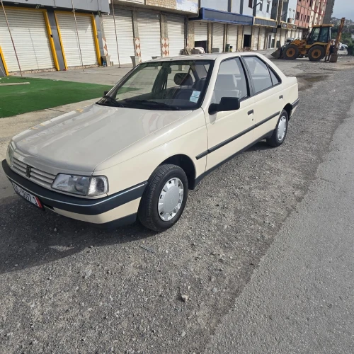 Peugeot 405 1989 405