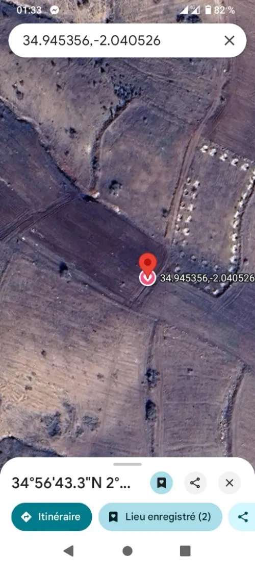 Vente Terrain Agricole Tlemcen Bab el assa