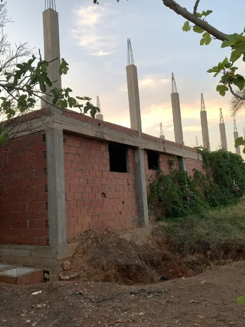 Vente Terrain Agricole Tipaza Hadjout