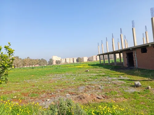 Vente Terrain Agricole Tipaza Hadjout