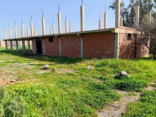 Vente Terrain Agricole Tipaza Hadjout