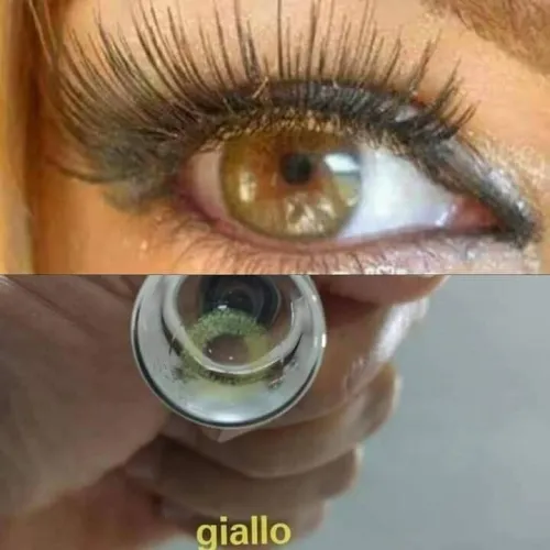 LENTILLES SOLEKO