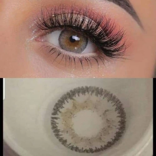 LENTILLES SOLEKO
