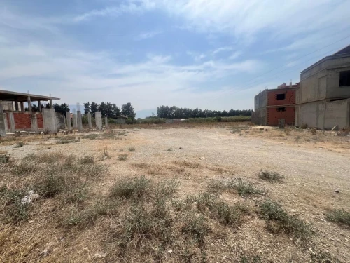Vente Terrain Blida Blida