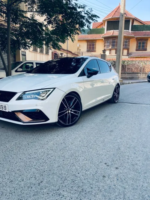 Cupra  Leon 2019 Cubra cobr