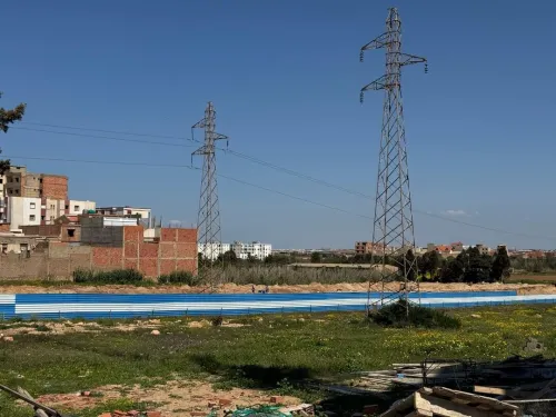 Vente Terrain Mostaganem Mezghrane