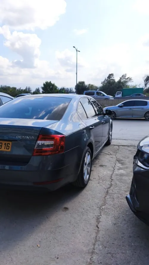 Skoda Octavia 2019 Ambiente