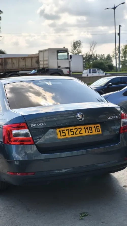 Skoda Octavia 2019 Ambiente
