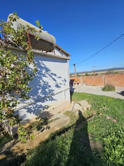 Vente bien immobilier El Tarf El taref